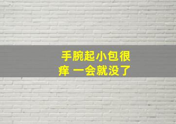 手腕起小包很痒 一会就没了